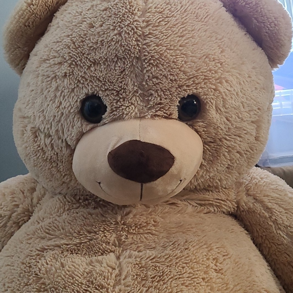 Life Size Giant Fluffy Teddy Bear! - Picture 3 of 10